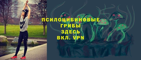 бошки Козельск